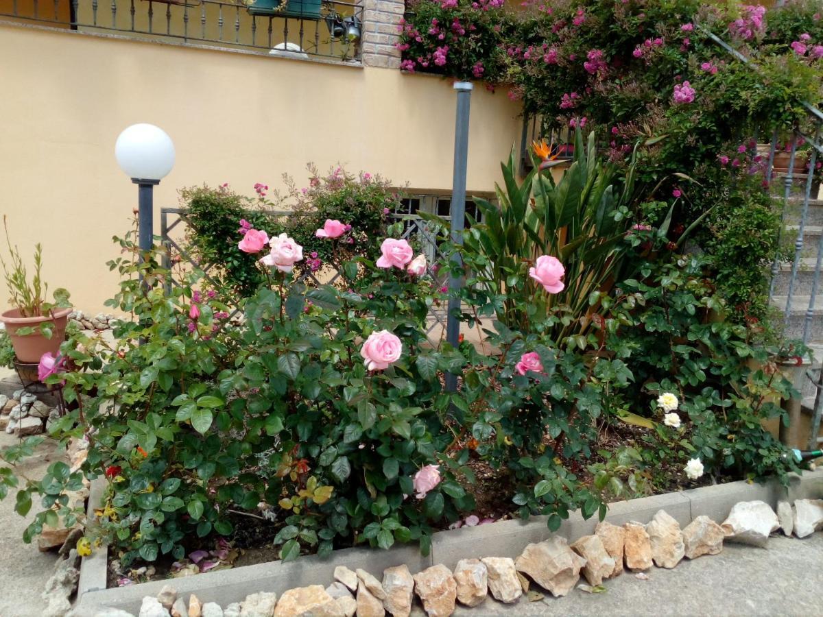 Ferienwohnung Le Rose Olmedo Exterior foto